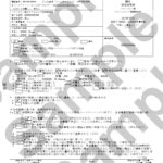 離婚判決謄本